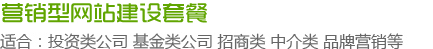 营销型网站建设套餐：投资类公司 基金类公司 招商类 中介类 品牌营销等